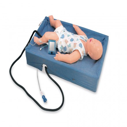 PDA State Baby Simulator