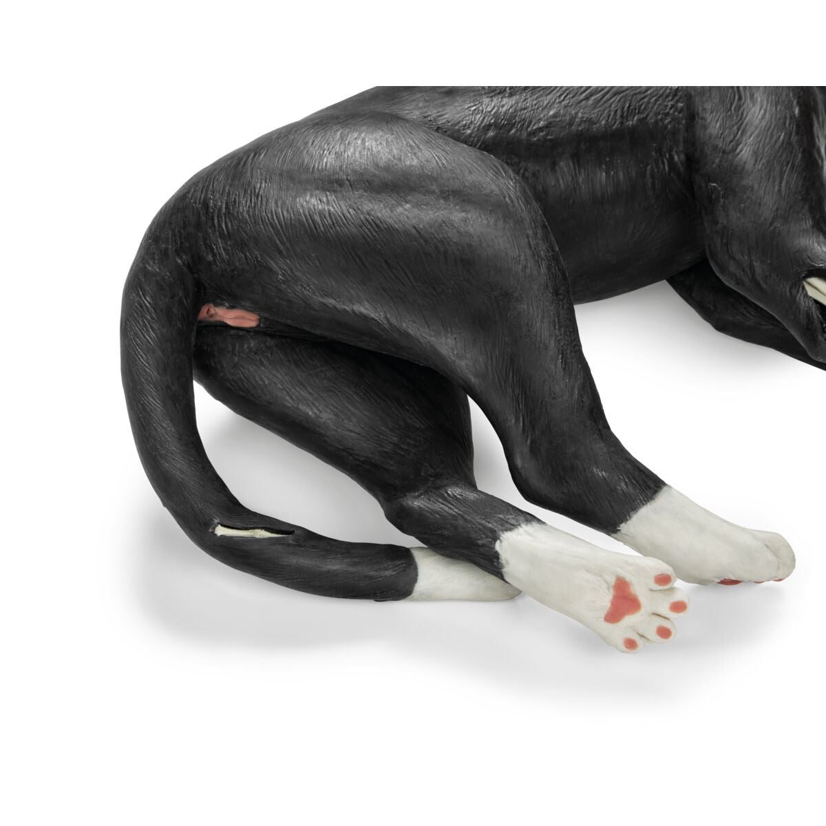 Kattträningssimulator