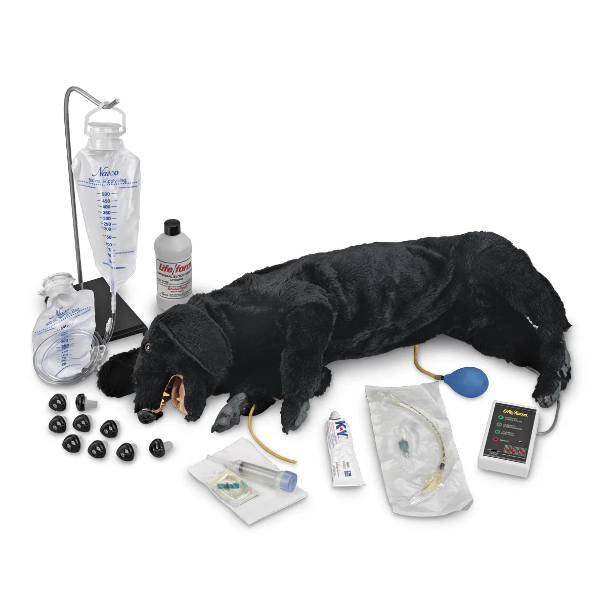 Avancerad Sanitär HLR Hund