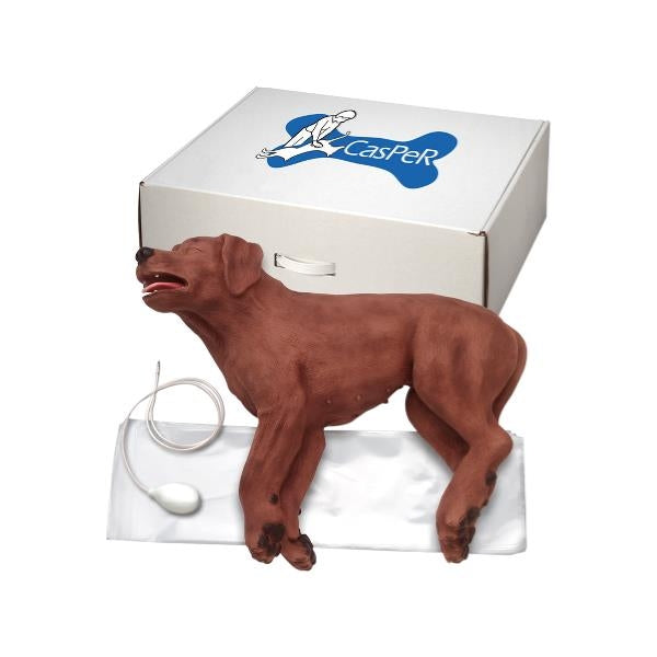 CasPeR första hjälpen-hund