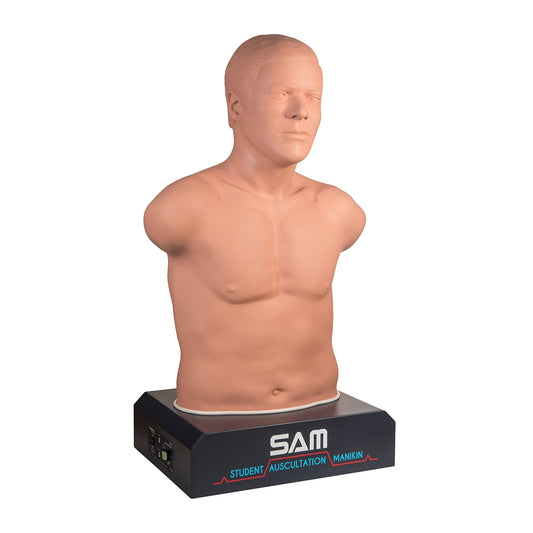 SAM II - Studentauskultationsmodell
