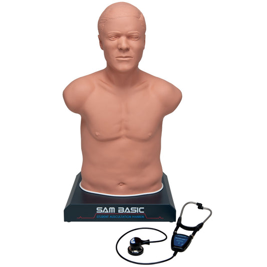 SAM Basic - Studenten Auskultations Manikin