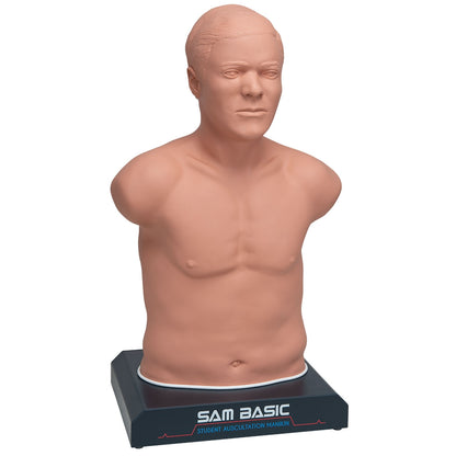 SAM Basic - Studenten Auskultations Manikin