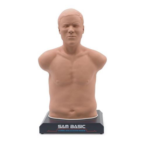 SAM Basic - Student Auskultation Manikin