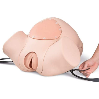 Födelsesimulator Pro