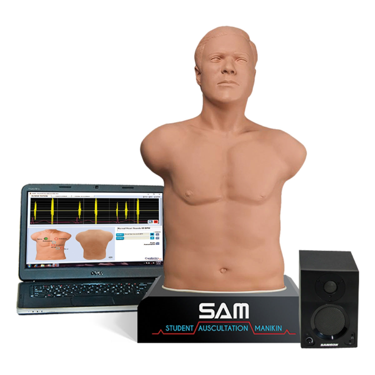SAM 3G – Student Auskultation Manikin 3:e generationen