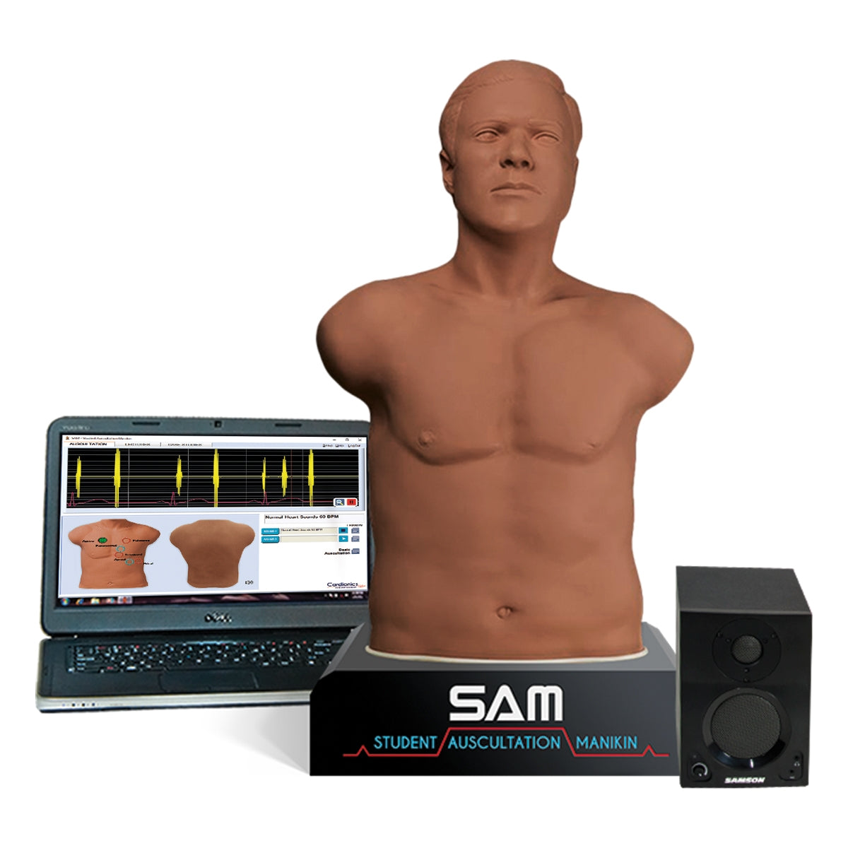 SAM 3G – Student Auskultation Manikin 3:e generationen