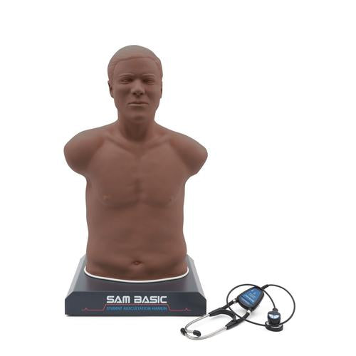 SAM Basic - Student Auskultation Manikin