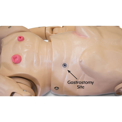 TERi™ Geriatrisk Patient Färdighetstränare