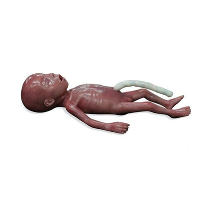 Lifecast Mikro-Præterm Født Baby / Ekstremt Lav Fødselvægt (ELBW)