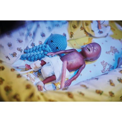 Lifecast Mikro-Præterm Født Baby / Ekstremt Lav Fødselvægt (ELBW)