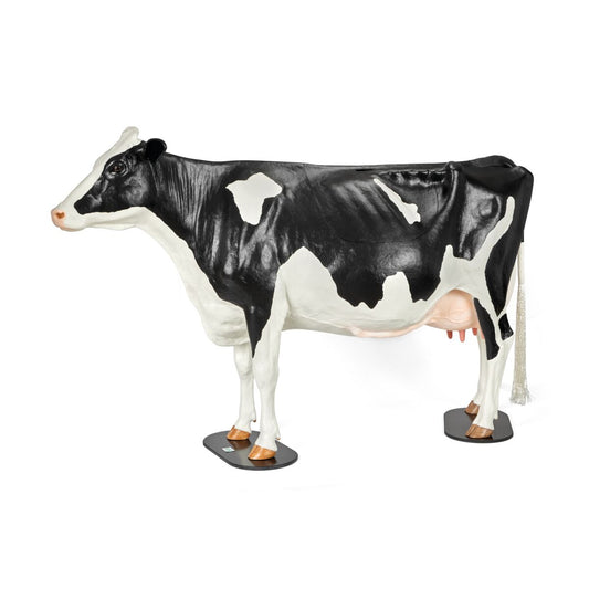 Holstein Dystocia Simulator - Förlossningsträningsmodell