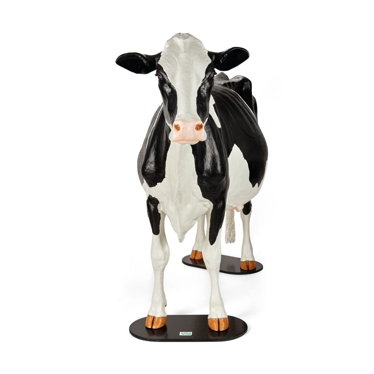 Holstein Dystocia Simulator - Förlossningsträningsmodell