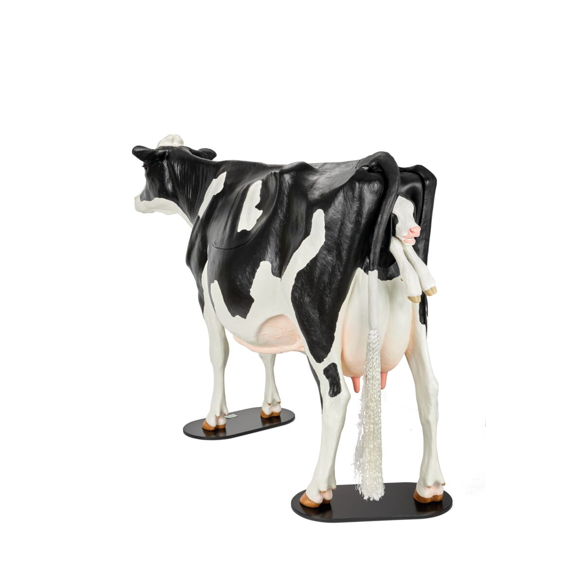 Holstein Dystocia Simulator - Förlossningsträningsmodell