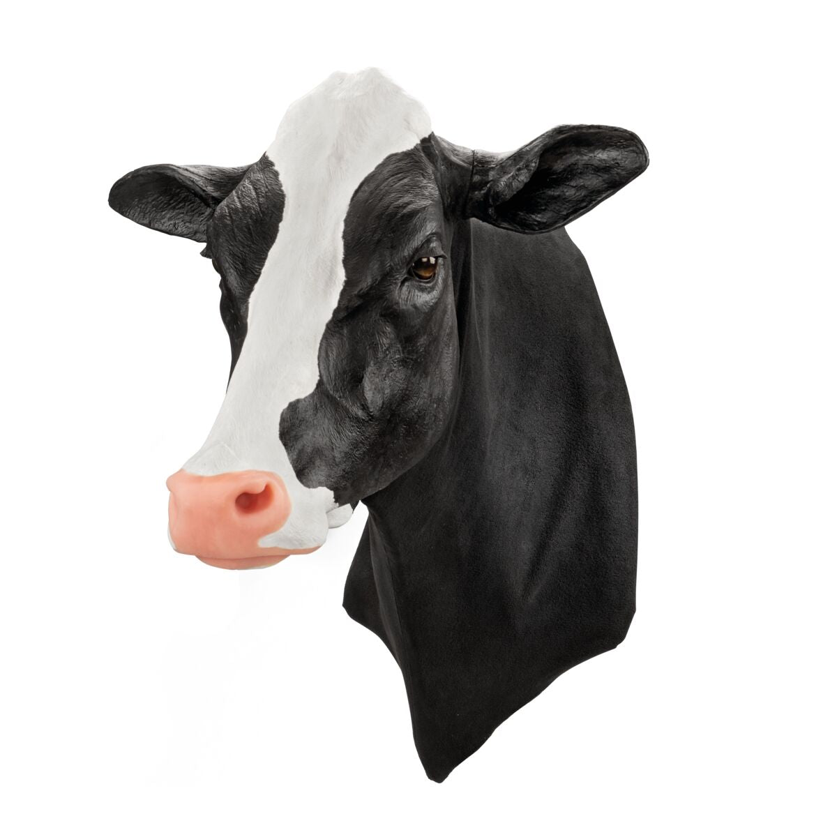 Holstein Venpunktion och Intramuskulär Injektionsmodell