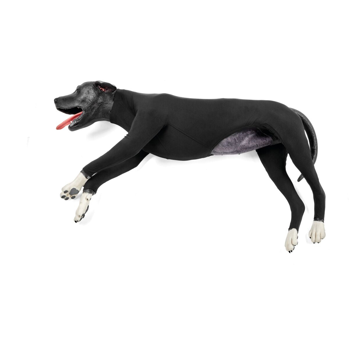 Hund-HLR-simulator