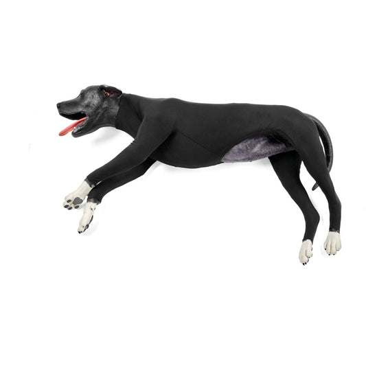 Hund-HLR-simulator