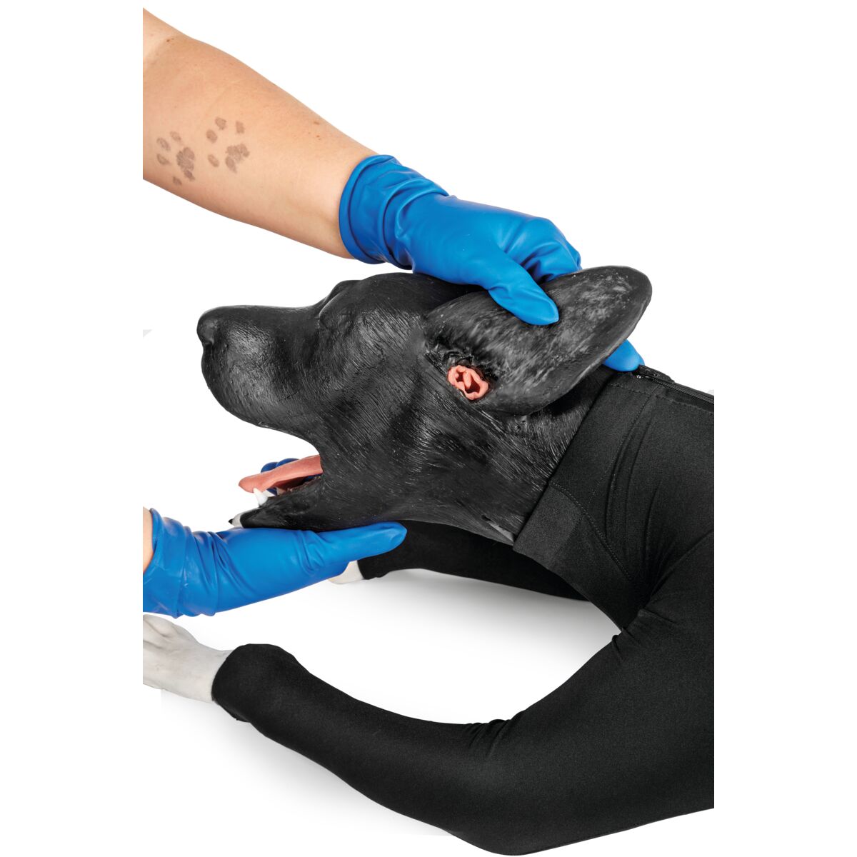 Hund-HLR-simulator