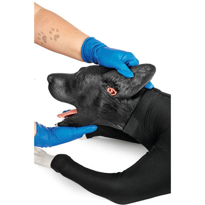 Hund-HLR-simulator