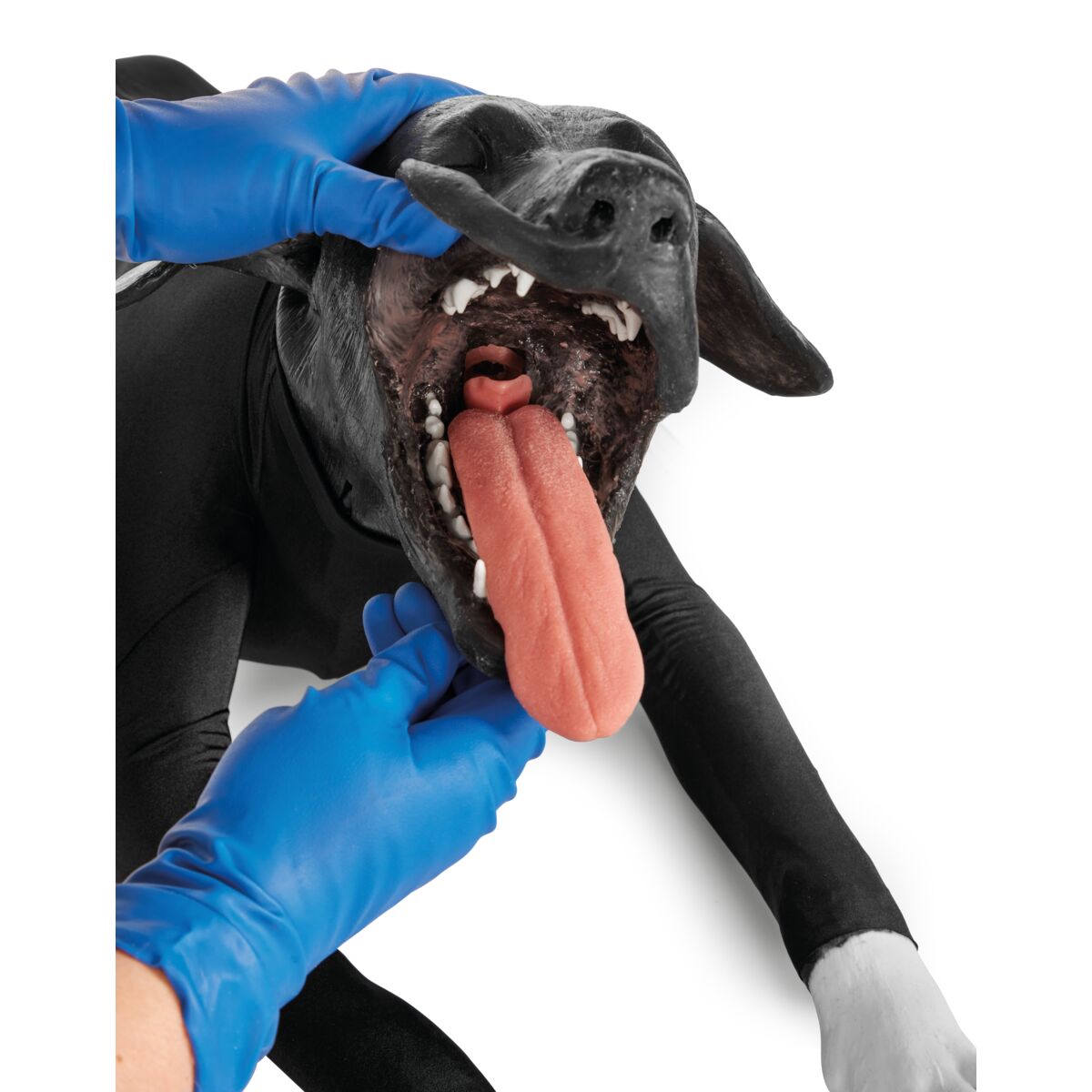 Hund-HLR-simulator