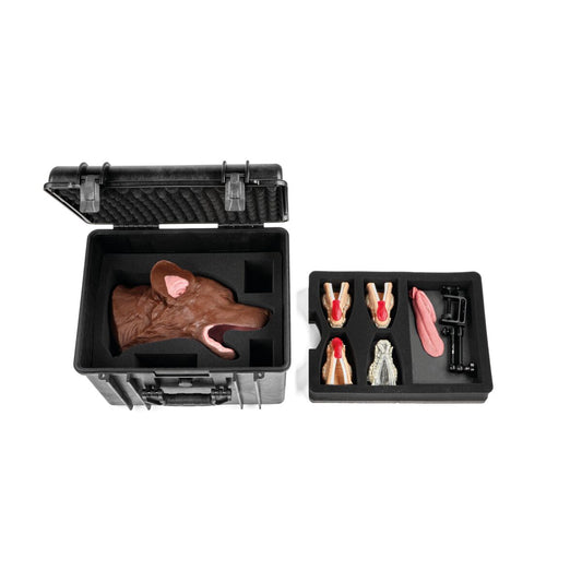 Hund Dental Kirurgisk Paket, Brun