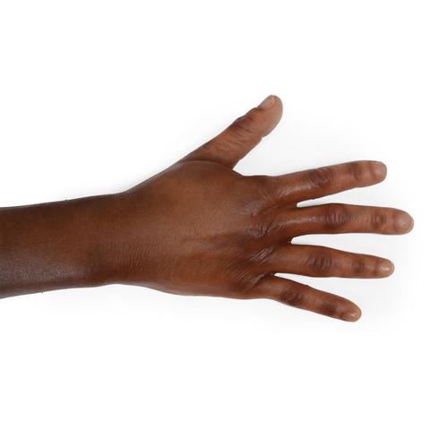 Lifecast Voksen Manikin (Sherif)