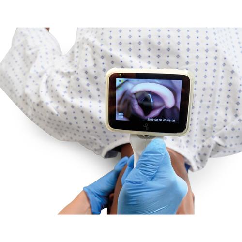 Lifecast Voksen Manikin (Sherif)
