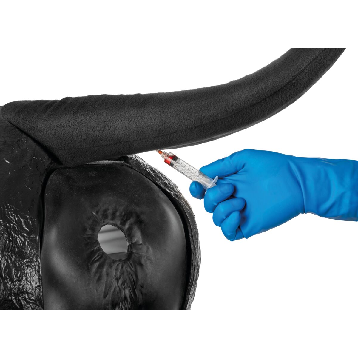 Hereford Avancerad Bovin Teriogenologimodell, Svart