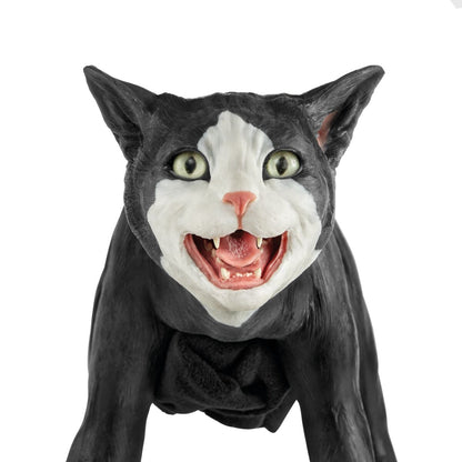 Kattträningssimulator
