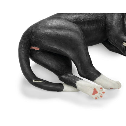 Kattträningssimulator