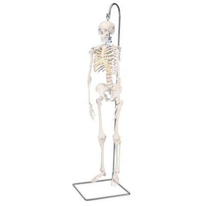 Shorty Mini Skelet 94 cm