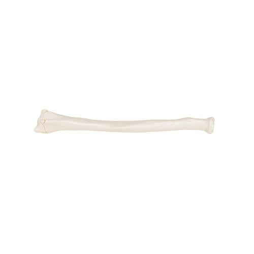 Model af spoleben (radius) – billede 3
