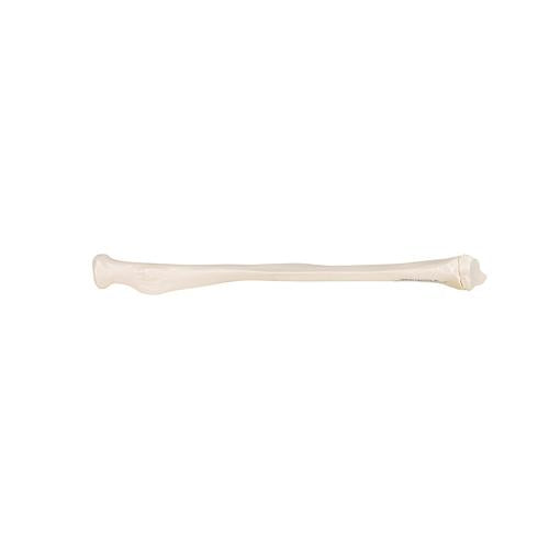 Model af spoleben (radius) – billede 4