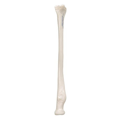 Model af spoleben (radius) – billede 6