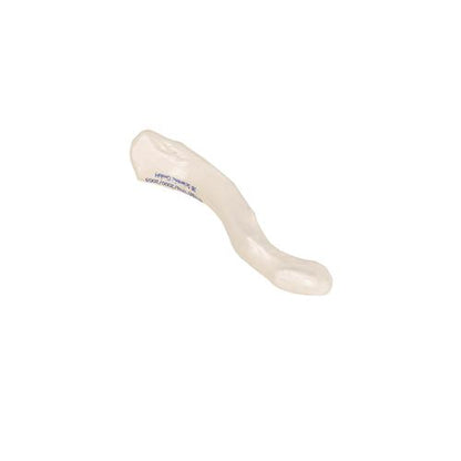 Model af kraveben (clavicula) – billede 7