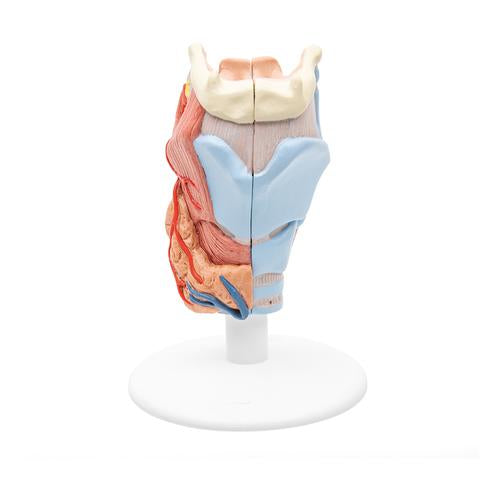Strubehovedmodel, 2 dele – billede 2