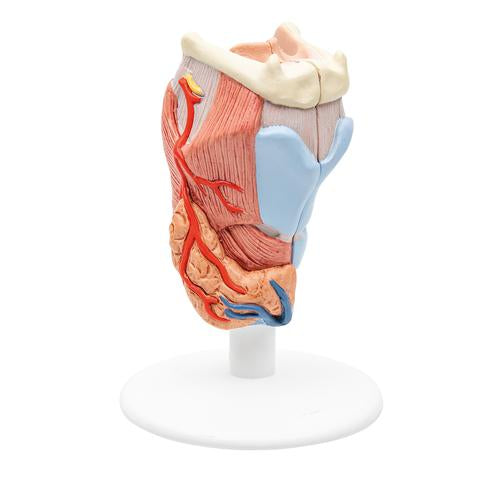 Strubehovedmodel, 2 dele – billede 3