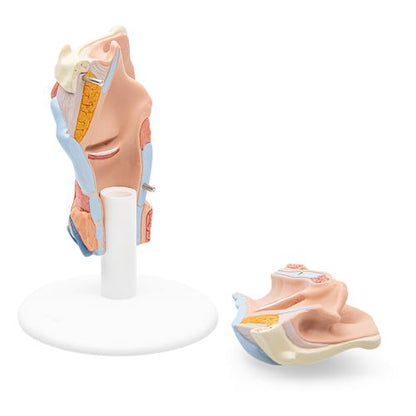 Strubehovedmodel, 2 dele – billede 6