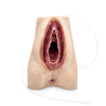 Avancerad perineal suturtränare