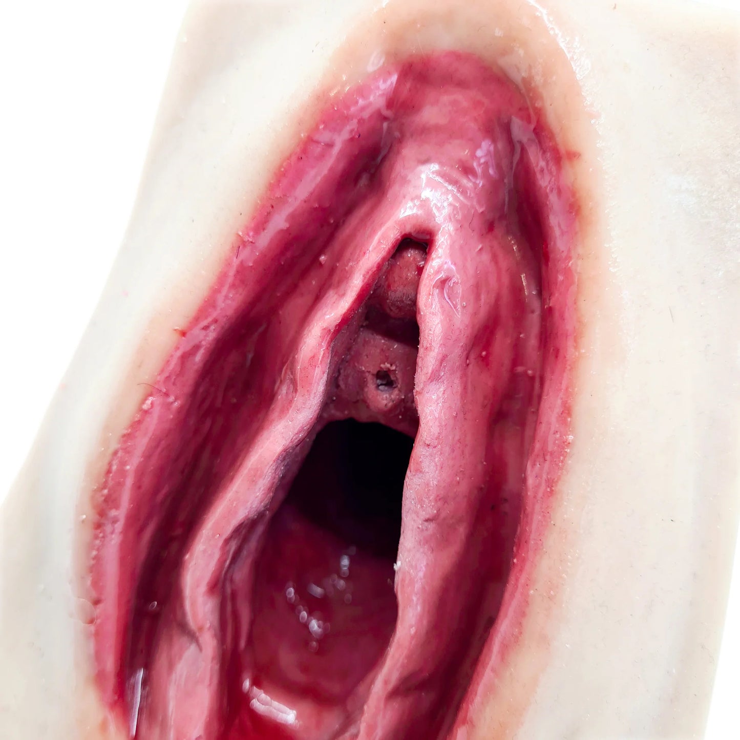 Avancerad perineal suturtränare
