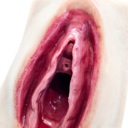 Avancerad perineal suturtränare