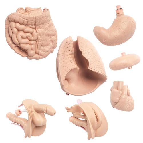 Patient Plejedukke Pro