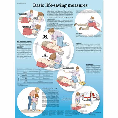 Planche: Basal genoplivning (BLS), lamineret