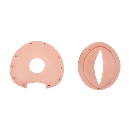 Cervix/Vulva Model P90 OB/Gyn