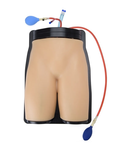 Blue Phantom ultraljudsträningsmodell Femoral vaskulär åtkomst och regional anestesi