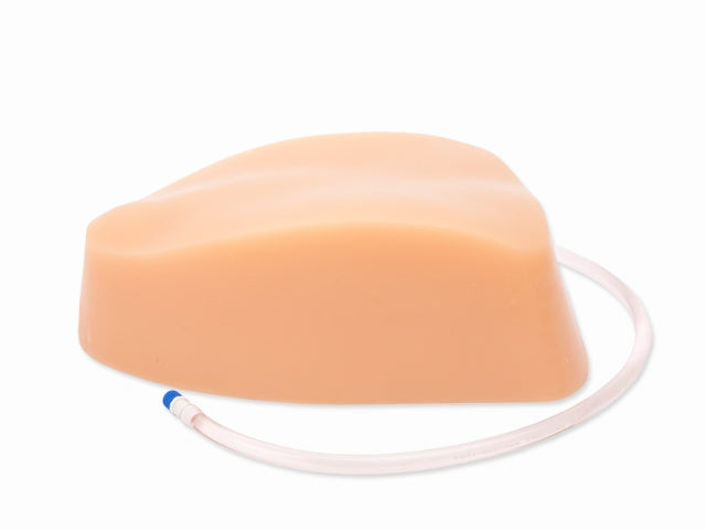 BluePhantom ersättningsvävnad för cervikal och övre thorakal epiduralmodell