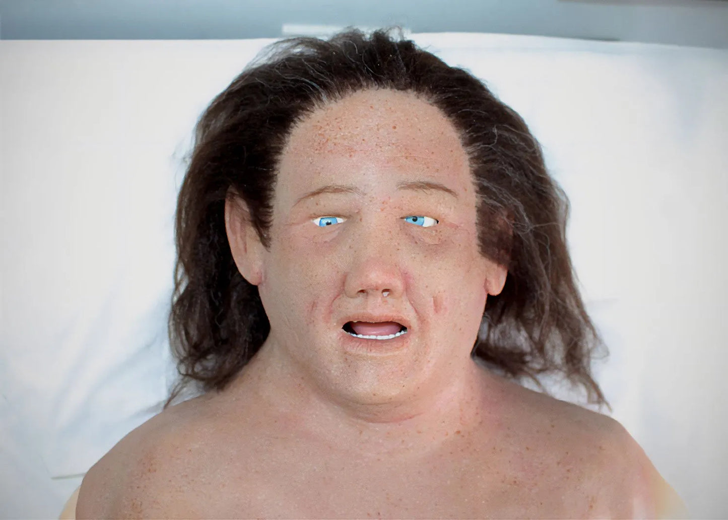 Eva - Realistiskt helkroppsskydd för simulering (Emulant)