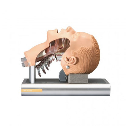 Ambu Airway Management träningsmodell