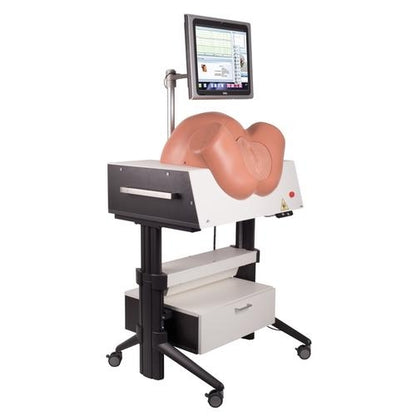 SIMone Födelsesimulator