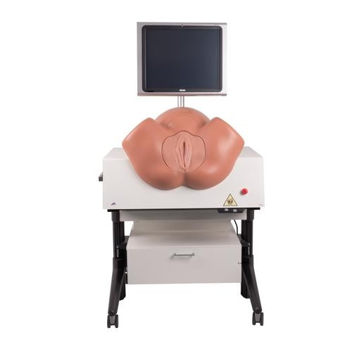 SIMone Födelsesimulator